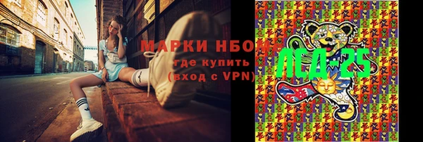 a pvp Аркадак